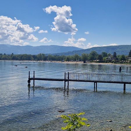 Appartement Tout Confort Montagne Et Lac Leman Thollon-les-Memises Kültér fotó
