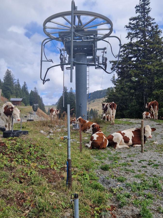 Appartement Tout Confort Montagne Et Lac Leman Thollon-les-Memises Kültér fotó