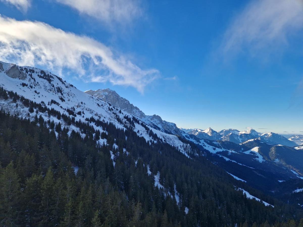 Appartement Tout Confort Montagne Et Lac Leman Thollon-les-Memises Kültér fotó